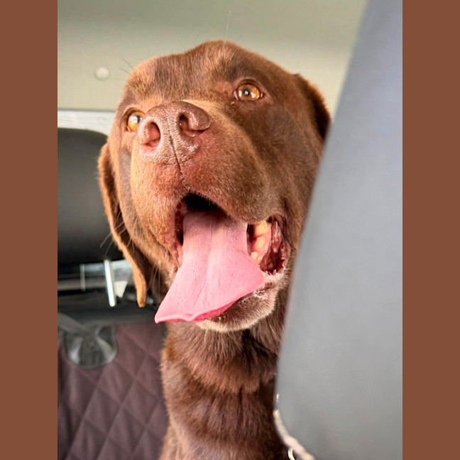 Photo of Duke