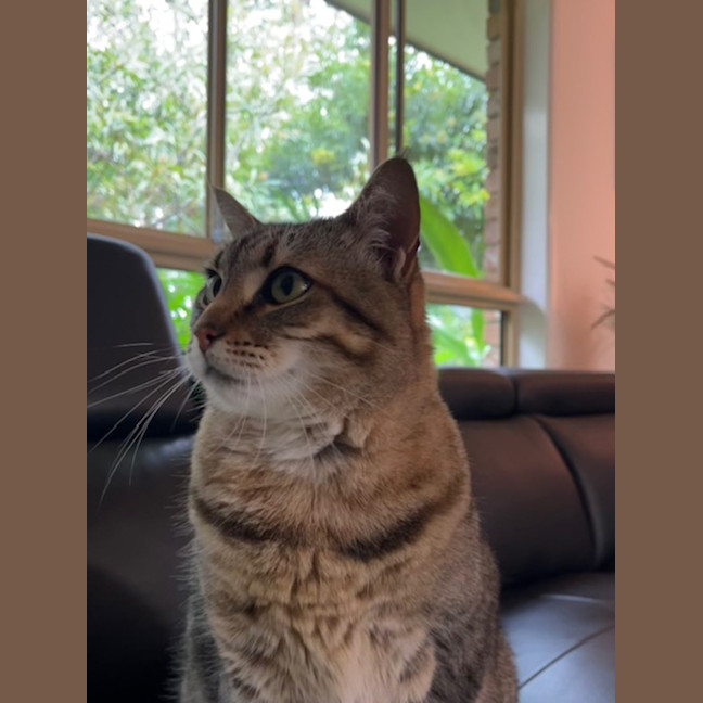 Photo of Delilah