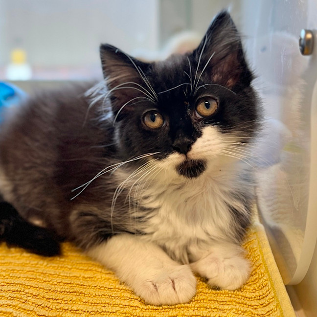 Photo of Bonnie & Clyde