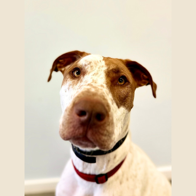 Photo of Mavis
