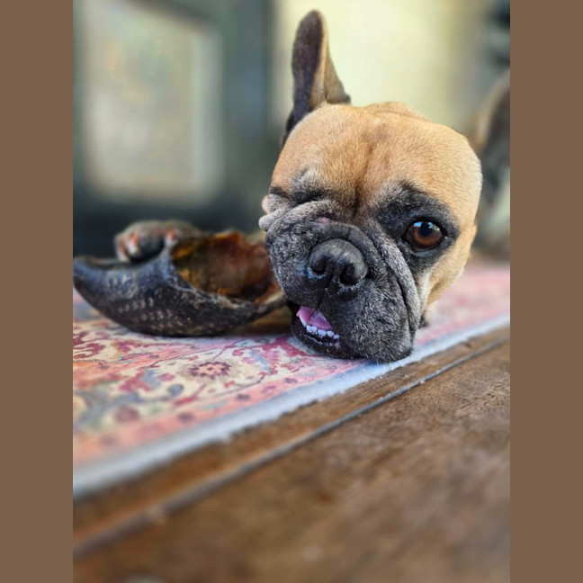 Photo of Betty