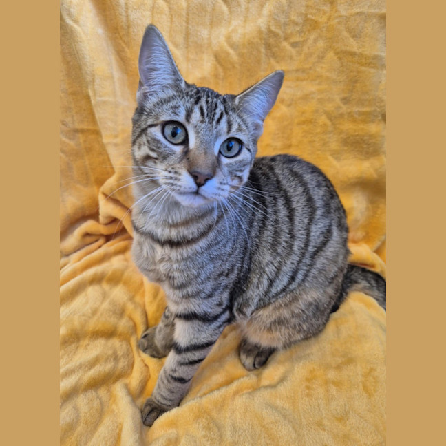 Photo of Narla