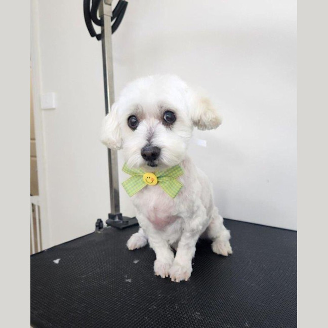 Photo of Simon Babbington