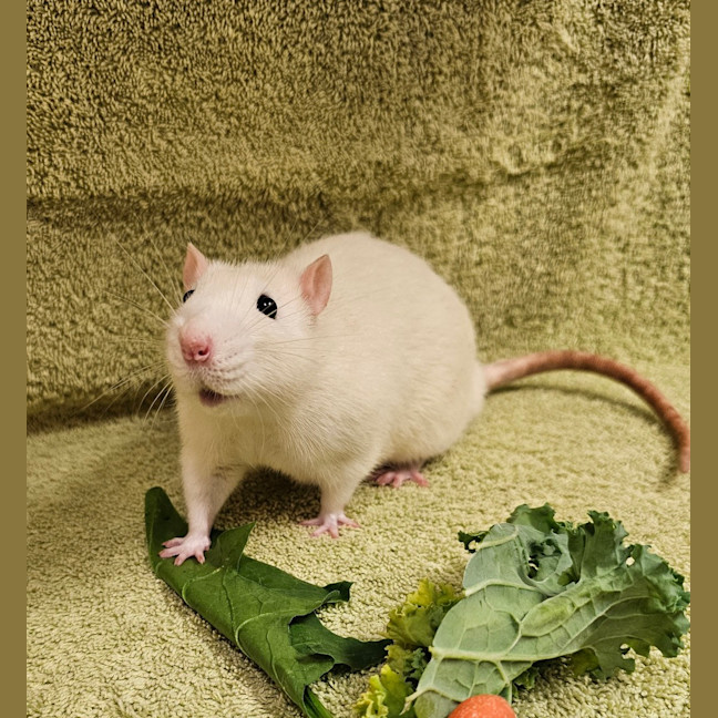 Photo of Fred