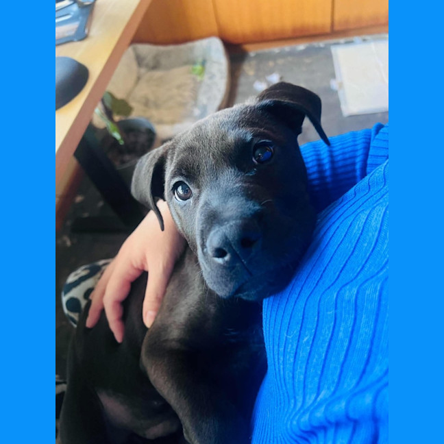 Photo of Axel