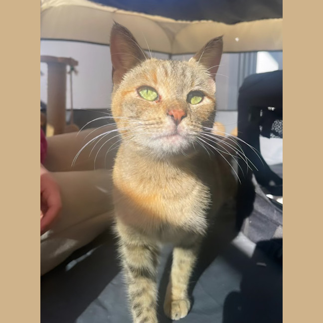 Photo of Lily & Charlie