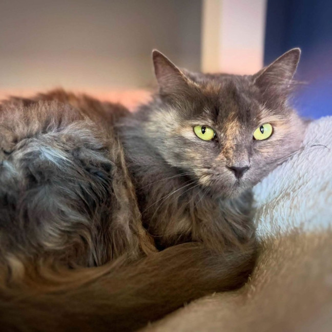 Photo of 14320   Mitzi