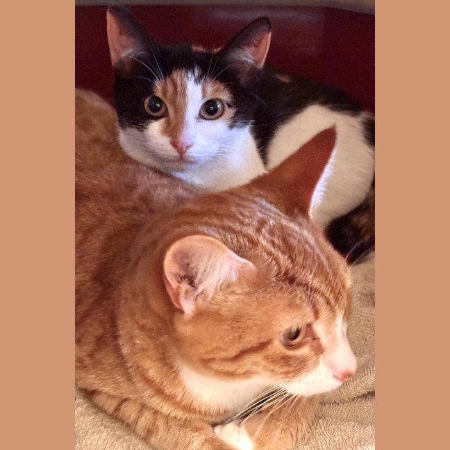 Photo of Rosie & Rudy 