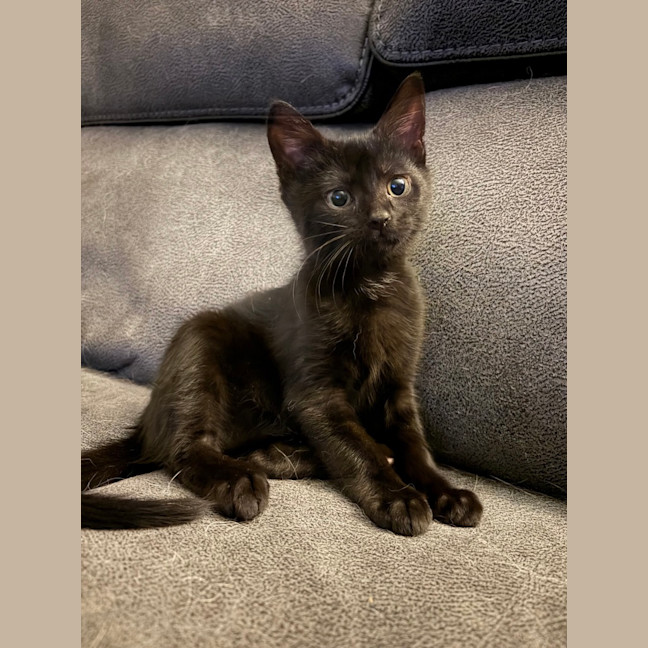 Photo of Mila