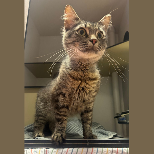 Photo of Mario