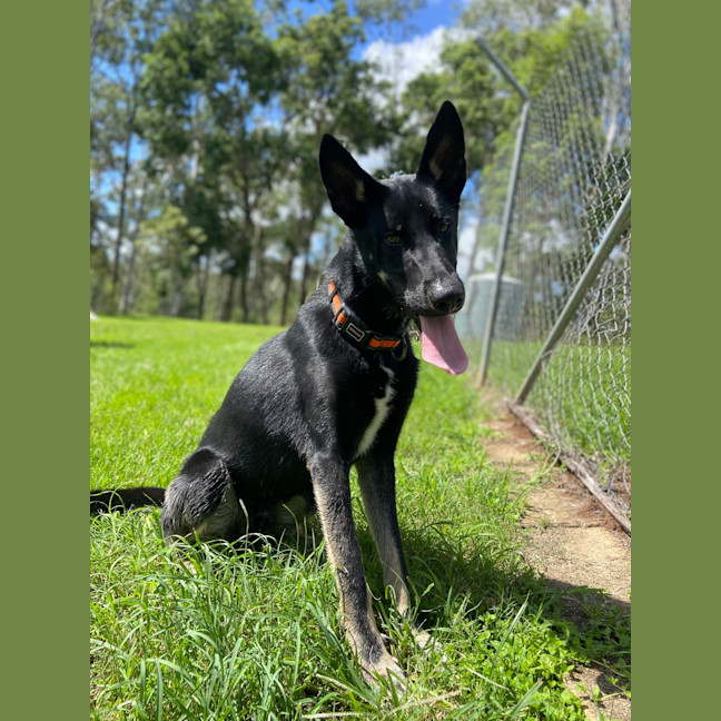 Photo of Atlas