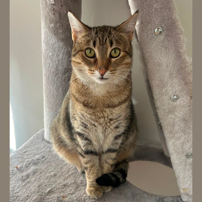 Photo of Esmerelda (Essie) 