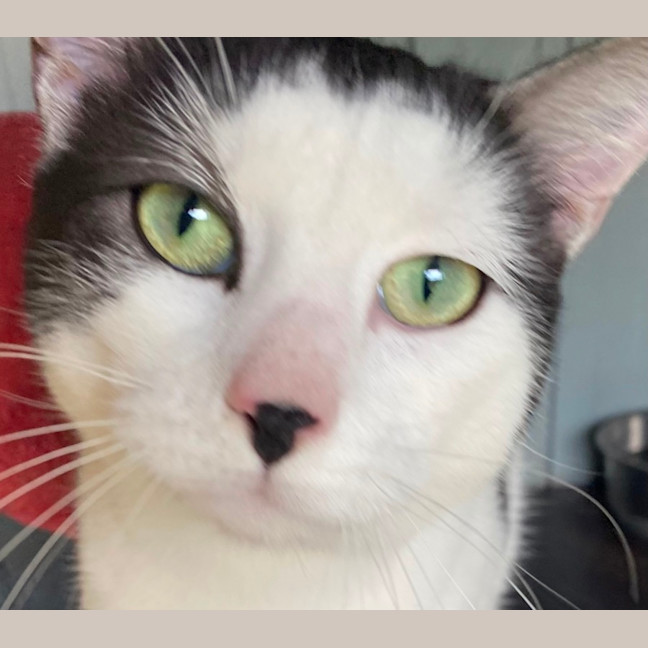 Photo of Neo