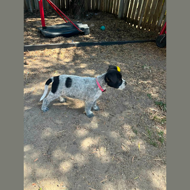 Photo of Evie
