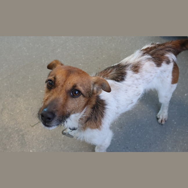 Photo of Bessie
