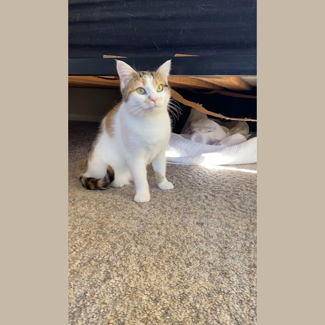 Photo of Candy