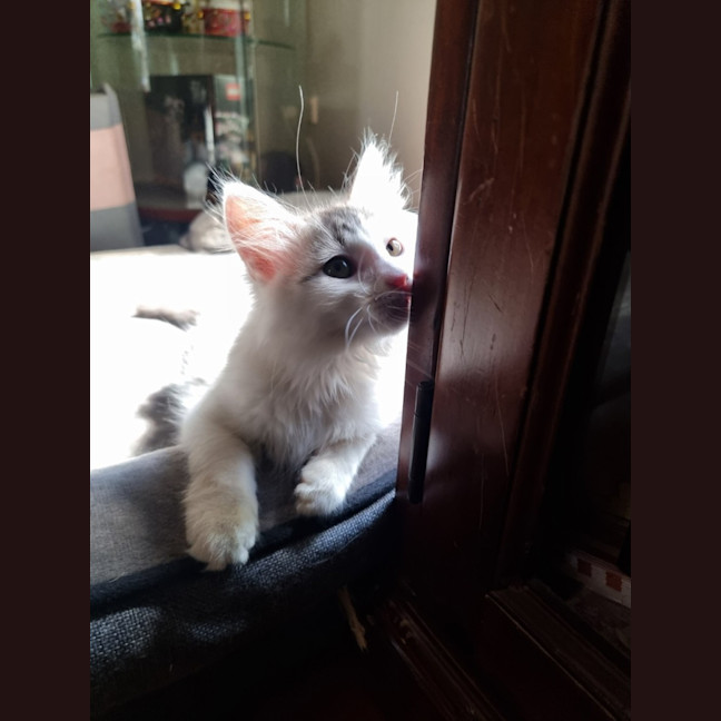 Photo of ❄️❄️blizzard❄️❄️