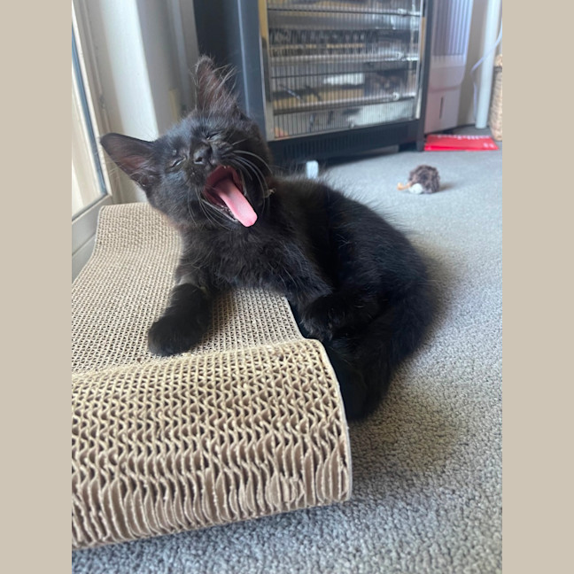 Photo of Storm
