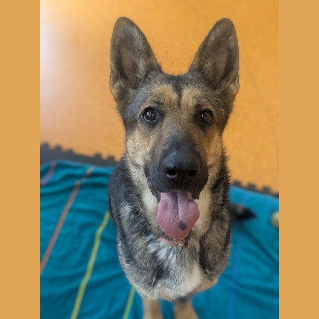Photo of Coco