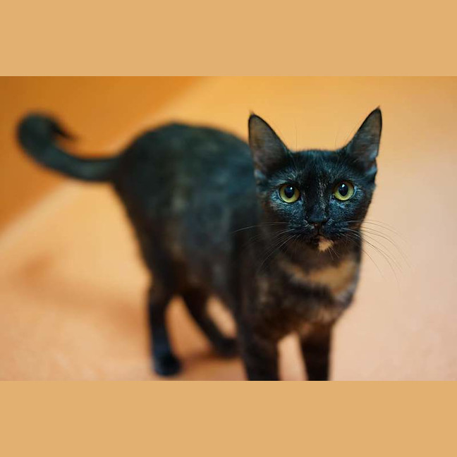 Photo of Polly