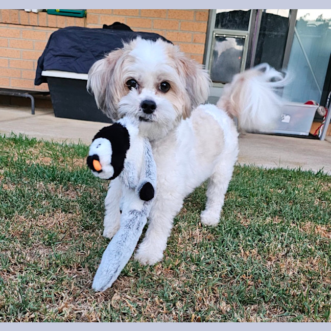 Photo of Mamzelle & Monsieur