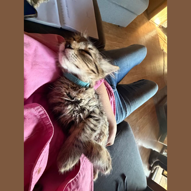 Photo of Gizmo