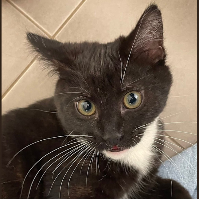 Photo of Leroy