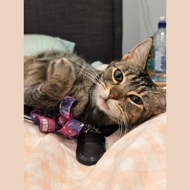 Photo of Jasmine