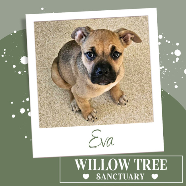 Photo of Eva