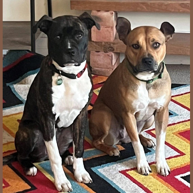 Photo of Daisy Haliwell