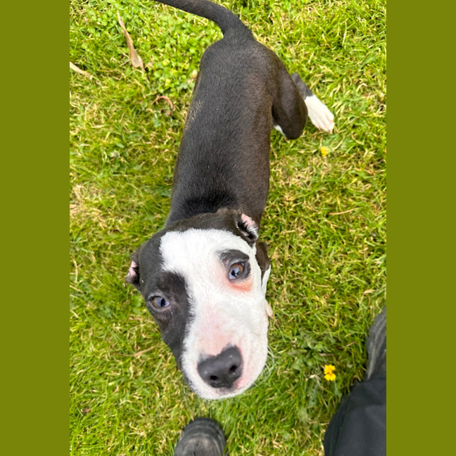Photo of Murphy