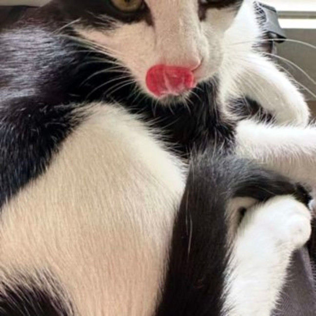 Photo of Lucky And Sosage