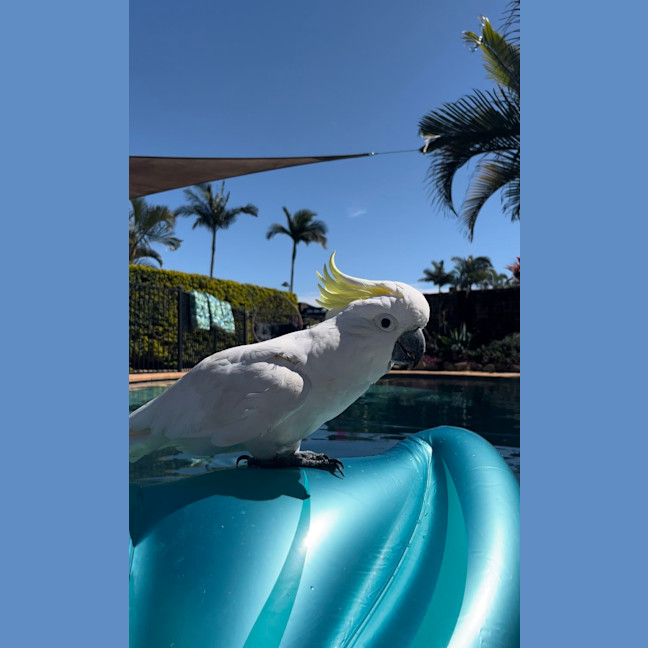 Photo of Miss Patricia 