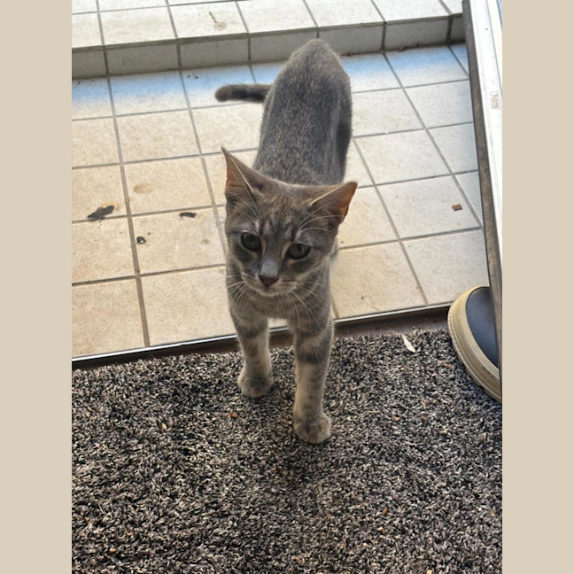 Photo of Hugh And Imogen 