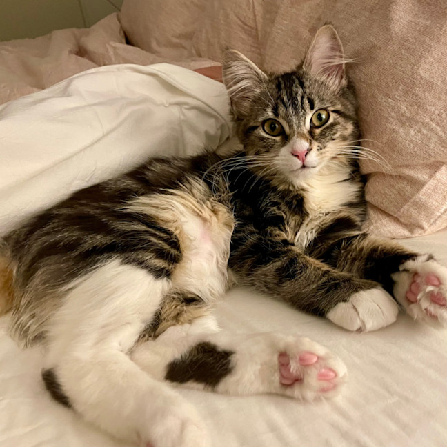 Photo of Winnie