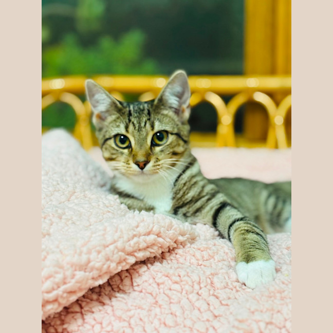 Photo of Eleanor 🌼