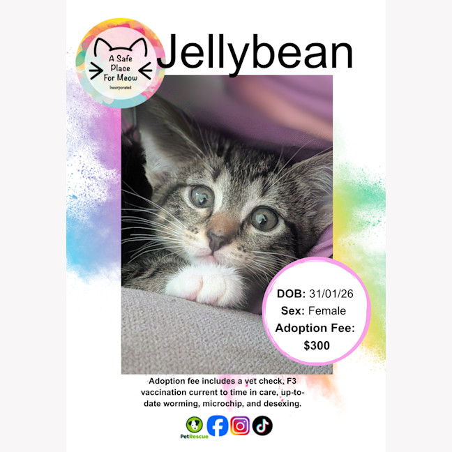 Photo of Jellybean
