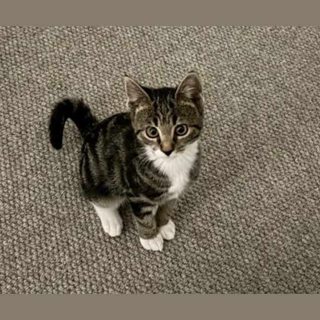 Photo of Leia