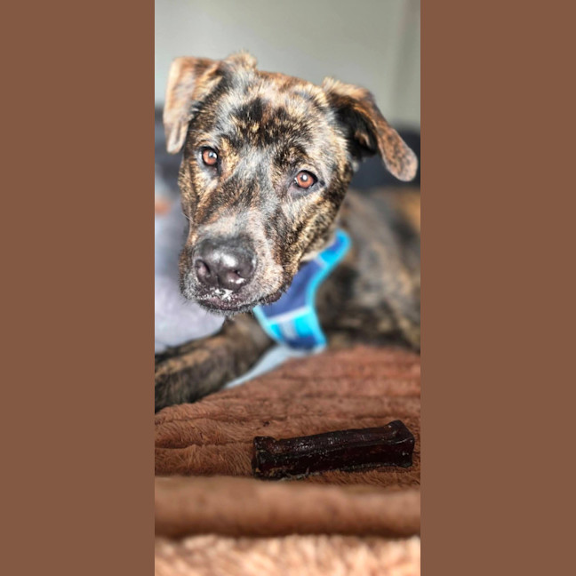 Photo of Walter