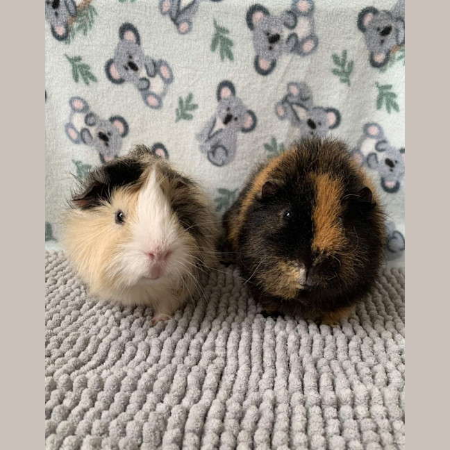 Photo of Hamlet And Horatio