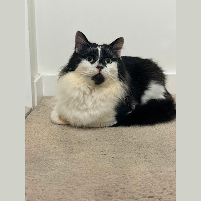 Photo of Sam Sam