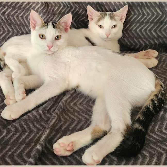 Photo of Verity & Solace