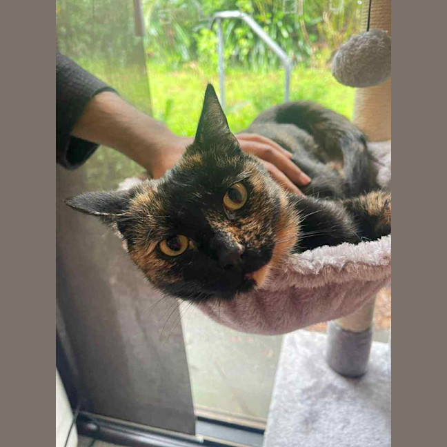 Photo of Arya