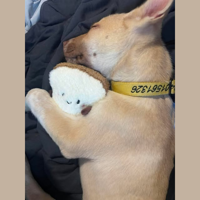 Photo of Benny