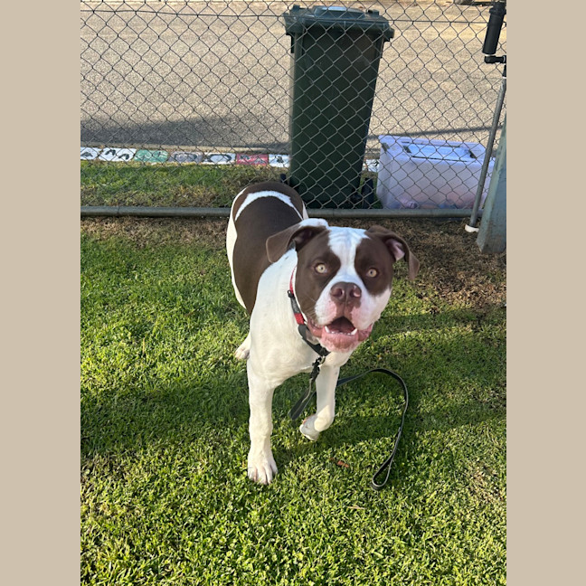 Photo of Kingston