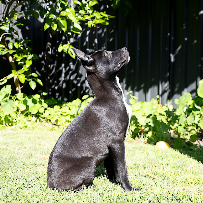 Photo of Lumen