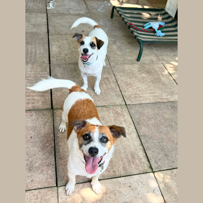 Photo of Pippa & Posy