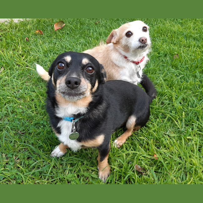 Photo of Paddy And Bonnie