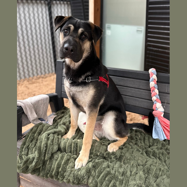 Photo of Monty
