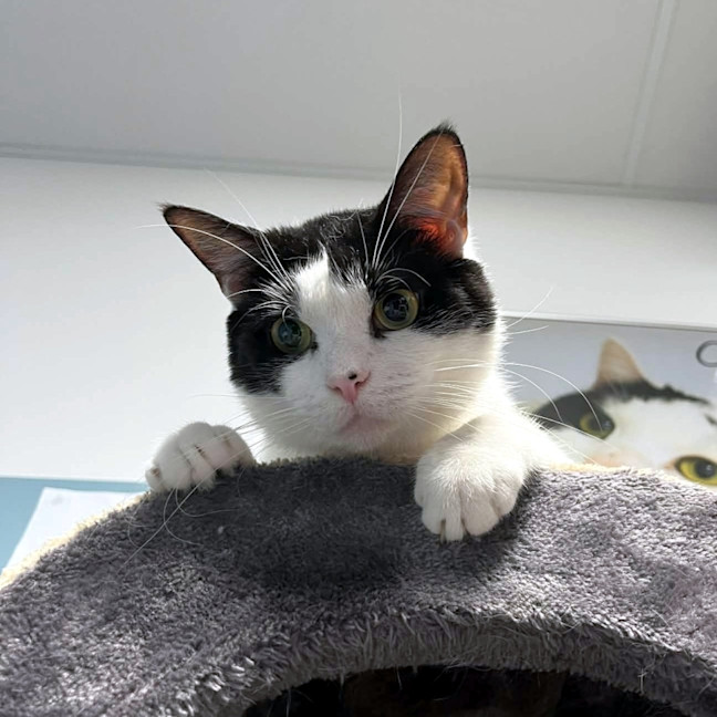 Photo of Dennis Sta013574